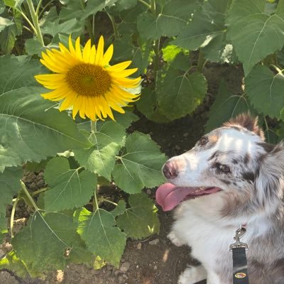 Kate. Saved by Grace. ✝️Caniac, Runner,Team RMHC Chicago Marathon 21 finisher. SC native.jpoucher.Tweets R mine. Hebrews 12:1. Gen Xer. 🐱&🐴 owner.