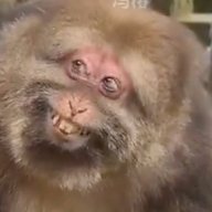 tailpipe72's profile picture. The world needs Ditch Diggers too -