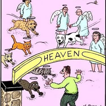 AlisonR12345's profile picture. Awake not woke