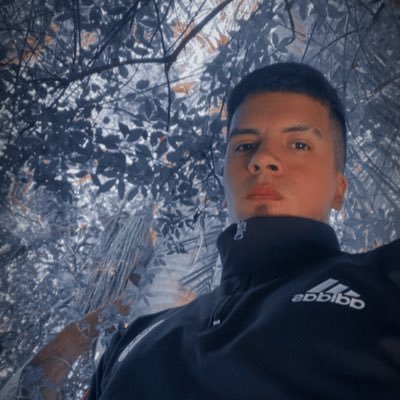 agusnahueel's profile picture. flaco y alto.
twitteo boludeces en tweets ajenos y boludeces en tweets propios 
🇦🇷