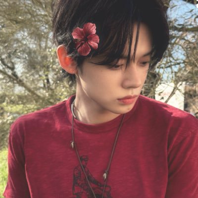 ⋆ ꩜ ‧₊˚: 505 | 🍎🥬🌺 ˚୨୧⋆。 i think i’m falling for @TXT_members