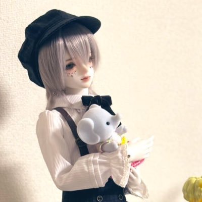 ぬい、ドール、リヴリー、ピュアニスタ垢として生まれ変わった何か。オビツ(ではない)ろいど2人とでっかいのとブラインド含めた海外ドールが何体かいる。