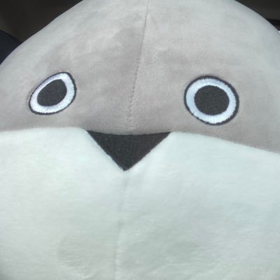 WithZ250's profile picture. 国民的畜生にしてお酒とバイクとカメラが生きがいの民。用途は雑記と備忘録