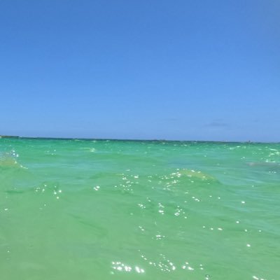 CYsiAi1f3n68526's profile picture. 