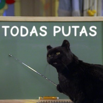 Normie fallido, que le tocó cargar la pesada cruz del inceldom, que sobrevive en esta jungla de concreto que llaman sociedad.