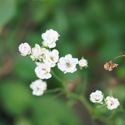 oqto0910's profile picture. 