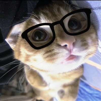 sumuyu37's profile picture. 