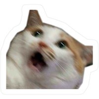 nth (@llyynnth) 's Twitter Profile