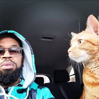 Neon_Tiger76 (@ijustneedthisa6) 's Twitter Profile