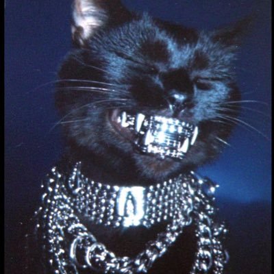 derrick507's profile picture. 🖤