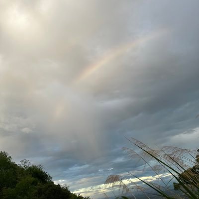 loww58251648's profile picture. 