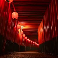 🔥きざし🍊 萌⛩️兆 (@rcccfox) 's Twitter Profile Photo