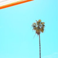 Dayi (@dayizaq) 's Twitter Profile