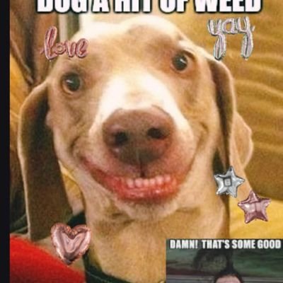 littles21192606's profile picture. jhyh