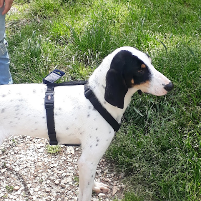 enzovin23's profile picture. 