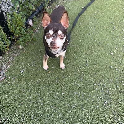 JoshDuenas24's profile picture. #bitcoin

1Dw5YYHiijaUQXwiNKvjVYGk1KW7fanjNA