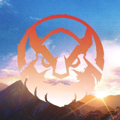 MGN Vikings Esports π»π³ Profile