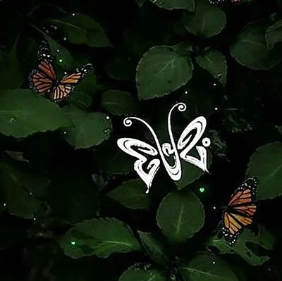 intheflowey's profile picture. 🍁