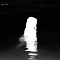 ๐evel ๐ชฝ (@n_eevl) 's Twitter Profile Photo ๐evel ๐ชฝ (@n_eevl) 's Twitter Profile Photo