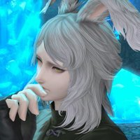 🆉 (@ltzwah_vixf) Twitter profile photo