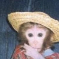 Chips 🌐🧲 (@chipsahoyol) 's Twitter Profile Photo