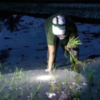 Rejyyyy 🐢🐸💚🦎🦄💜🎧📸 (@rejyyylatineace) 's Twitter Profile Photo