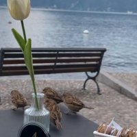 luca luigi (@lucal55551) 's Twitter Profile