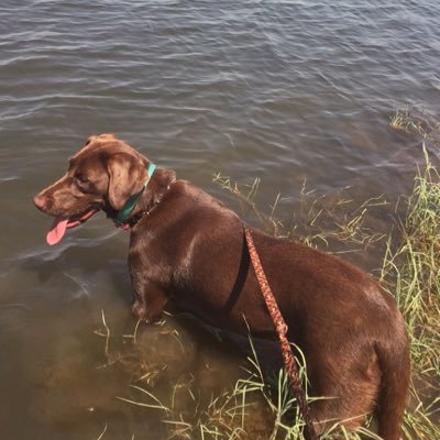 Justin_Strathe's profile picture. 