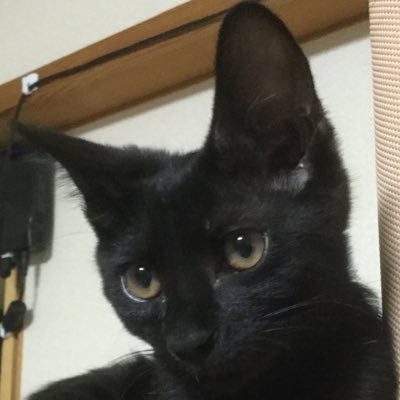 スタームリン書記長(停滞期)さんのプロフィール画像