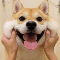 CryptoGeek (@i_need_usdt) 's Twitter Profile