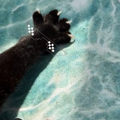 flashbacklucy's profile picture. 