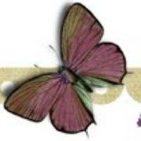 YourSidney's profile picture. Everything you wanted to know about becoming a Flight Attendant...but didn't know who to ask.