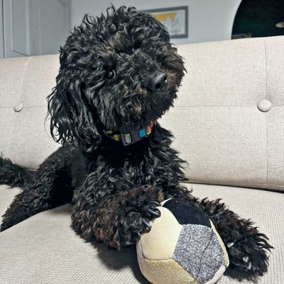 beshinyedeghe's profile picture. من مامان لوبیام 🫛🐕‍🦺