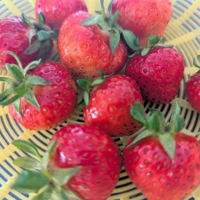 宜しくお願いいたします😊 日々の好きなコトとか、つぶやいてみたいなぁと思っています。できるかなぁ。