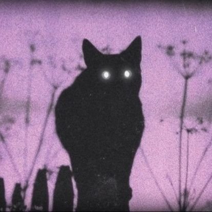 _pincc_'s profile picture. | 🔞 MDNI 🔞 | LVL:19 | Goofing around on VR, CoD, Minecraft and more. | SFW, NSFW Content |