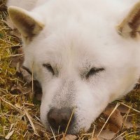 黒崎督也🐸|🌸🍡|🖤🧸|🐾🏁|🦄|🐟️|🍥|🐰🌸|🌸🌳|🤍🫧|👑❤ (@qtm47itzqov2a08) 's Twitter Profile Photo