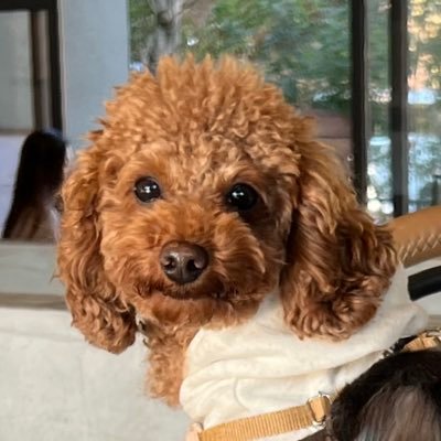 iquinox_1552's profile picture. いろんなクラブで広く浅〜くのんびり一口生活。同じクラブ、出資馬持ちの皆様よろしくお願いします。勝手にフォローさせて頂きます✌️福永厩舎無条件で応援😤鉄道関連🚞モンクレ⚜️PERSONS、イエモンなど🎸絶賛MY FIRST STORYに激ハマり中、ストテラ⚜️