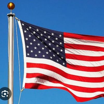 sh991624's profile picture. l am not perfect. But I still try to be Honest.