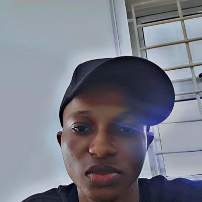 heisbodegram's profile picture. Software Engineer | CEO @awodigitals