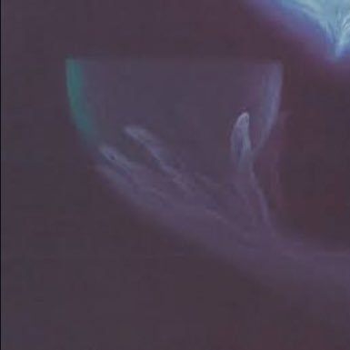 darkommand's profile picture. Alive in this fertile miasma