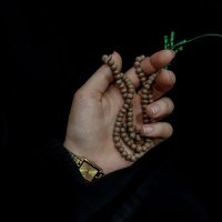 زهراخانوم🌕 (@mohebbe_heydar) 's Twitter Profile