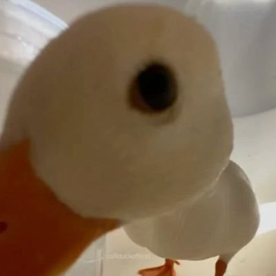 我在裡面慢慢死去 off :)