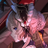 kressser's profile image