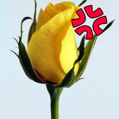 PanumPatience's profile picture. Follow your heart, but be quiet for a while first. Learn to trust your heart.
Sahara #0051780