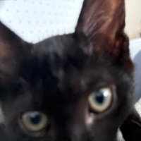 어둠의 ,, 딥 ㅅㅏ .. (@deep4im) 's Twitter Profile Photo