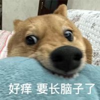 zhaoxibingxi (@zhaoxibing) 's Twitter Profile