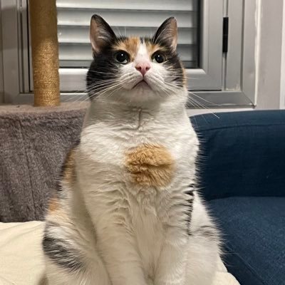 kushtomized's profile picture. 