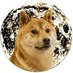 Moonboy (@moonboy0xx) Twitter profile photo Moonboy (@moonboy0xx) Twitter profile photo