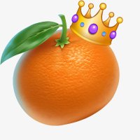 👑🐹ྀི (@lulleelulla) 's Twitter Profile Photo 👑🐹ྀི (@lulleelulla) 's Twitter Profile Photo