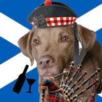 Yammo27 (@scottishyammo27) 's Twitter Profile